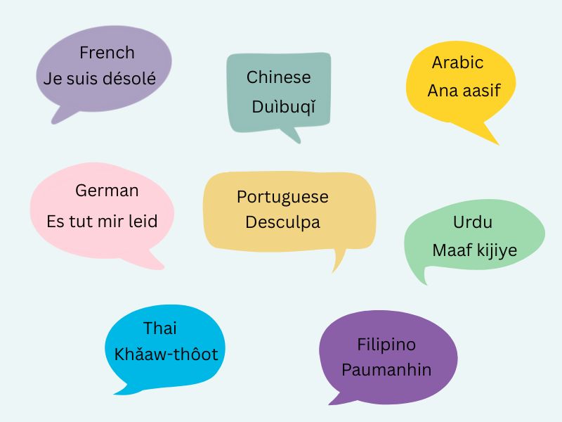 How to Say Sorry in Different Languages Infographic Guide Hyper Content Infographic Showing How to Say Sorry in Different Languages Like French Chinese Turkish Filipino and Russian