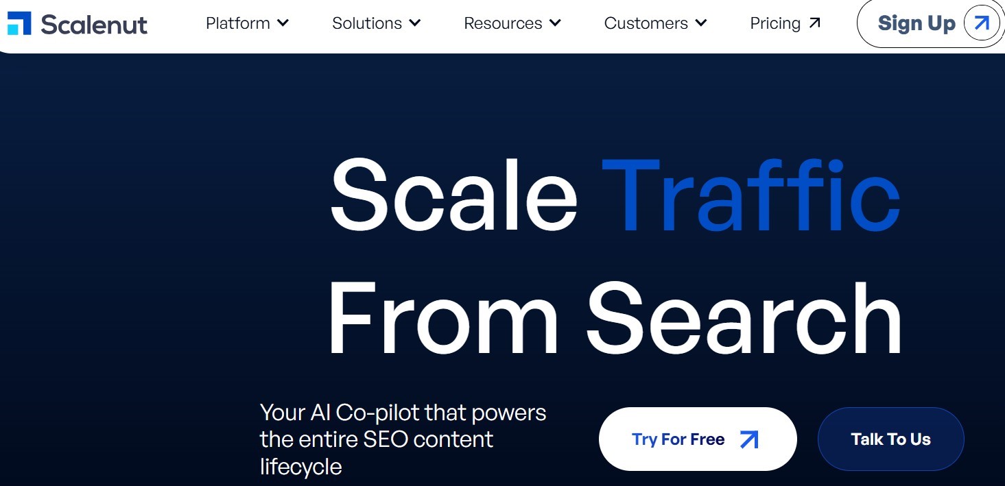 scalenutseoanalyticstool Hyper Content Blog Scalenut Seo Analytic Tool Image